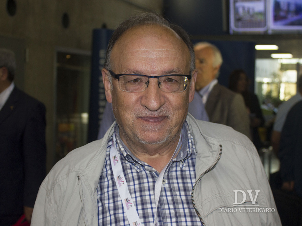 Fesvet sends its support to the Ley de Bienestar Dyr development project