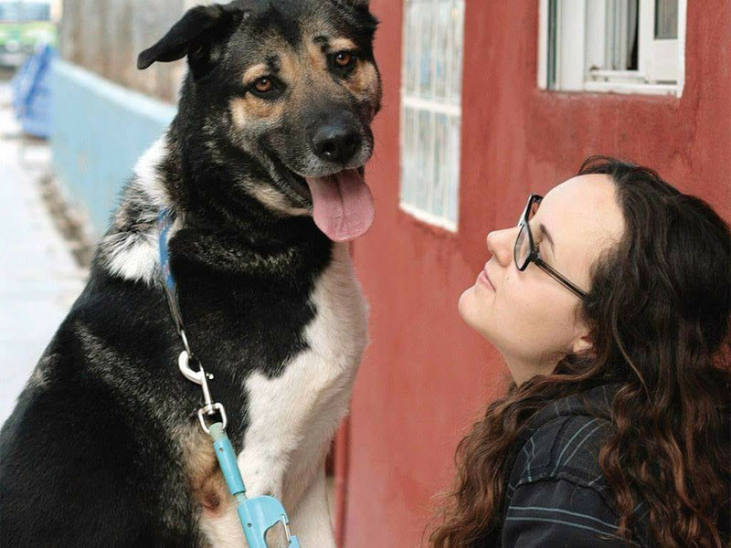 Alcalosis metabólica, olvidada en Medicina Veterinaria