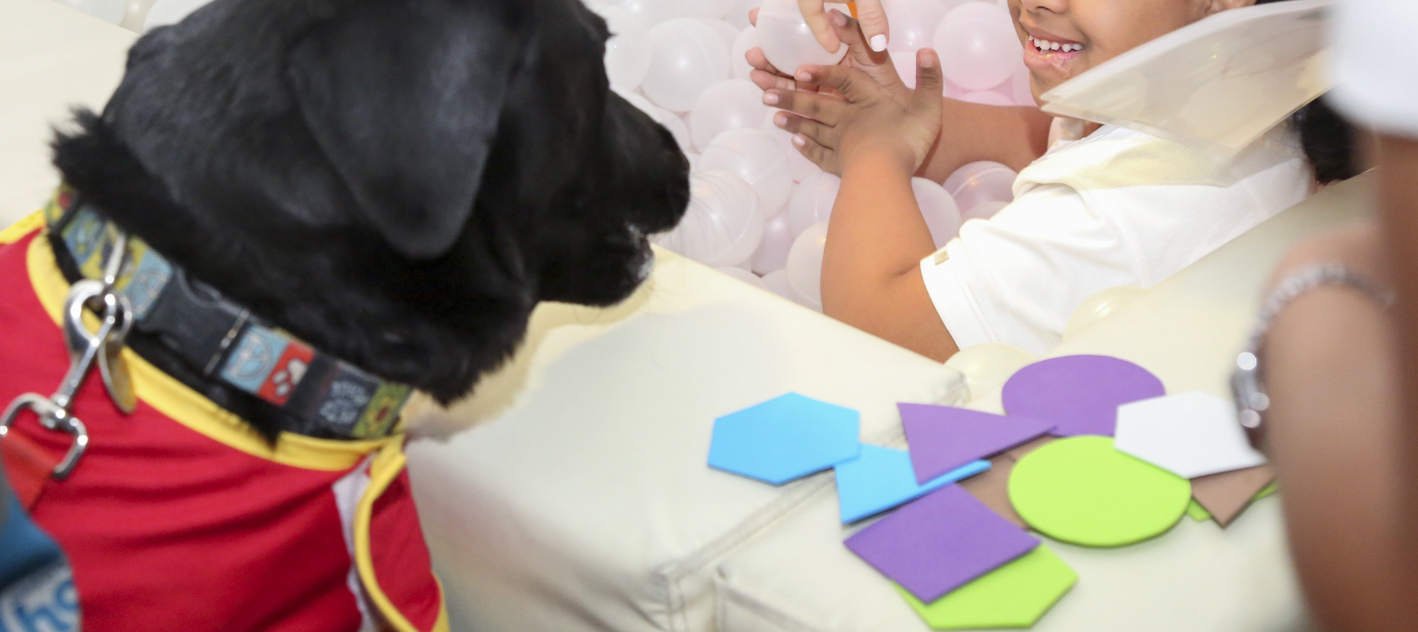 La terapia con perros para niños con parálisis cerebral muestra beneficios