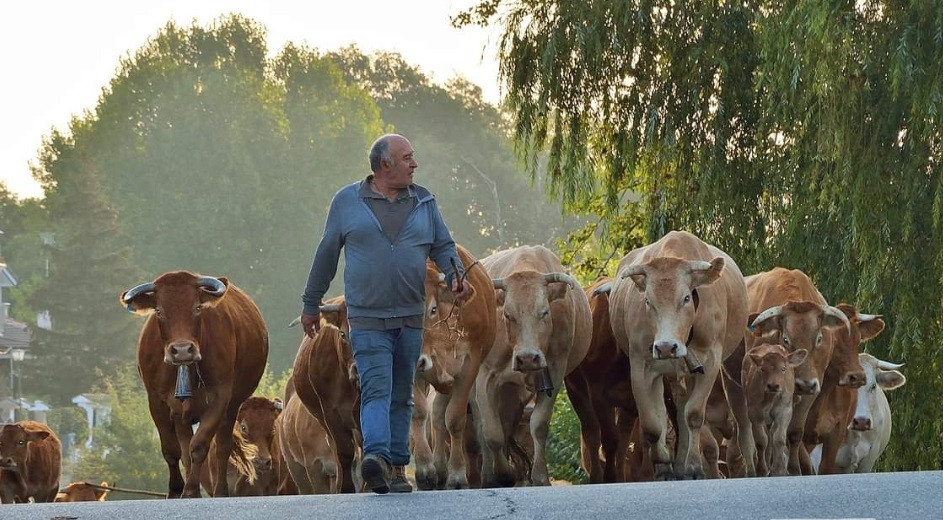 Publication of the Ten Commandments of the European Commitment to Animal Welfare