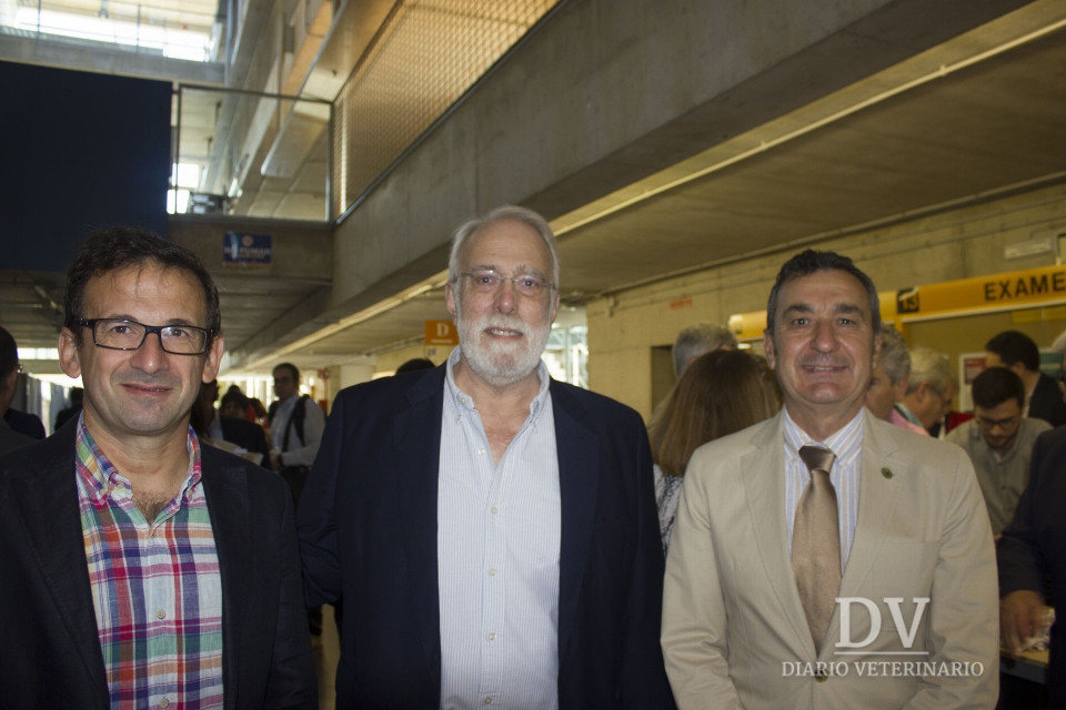 Luis Díez, Ignacio Oroquieta y Juan Antonio Rol