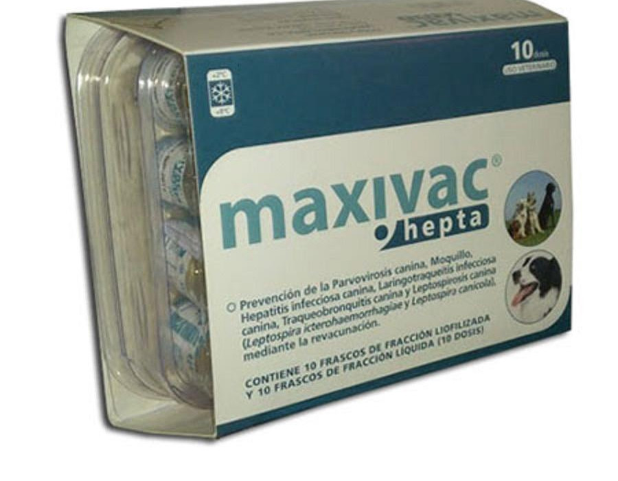 109056 maxivac hepta 10 dosis 1