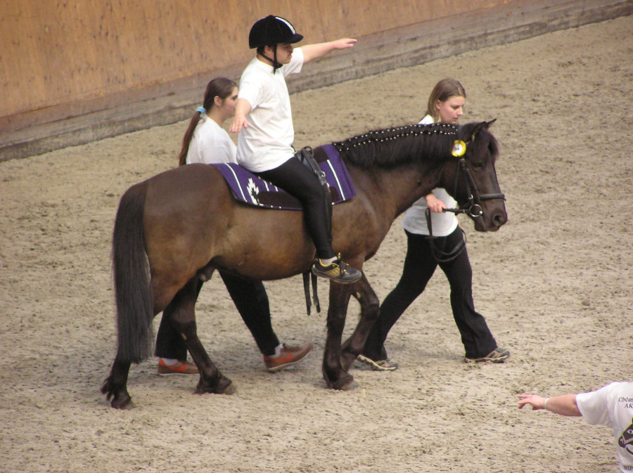 Therapeutic horseback riding 2