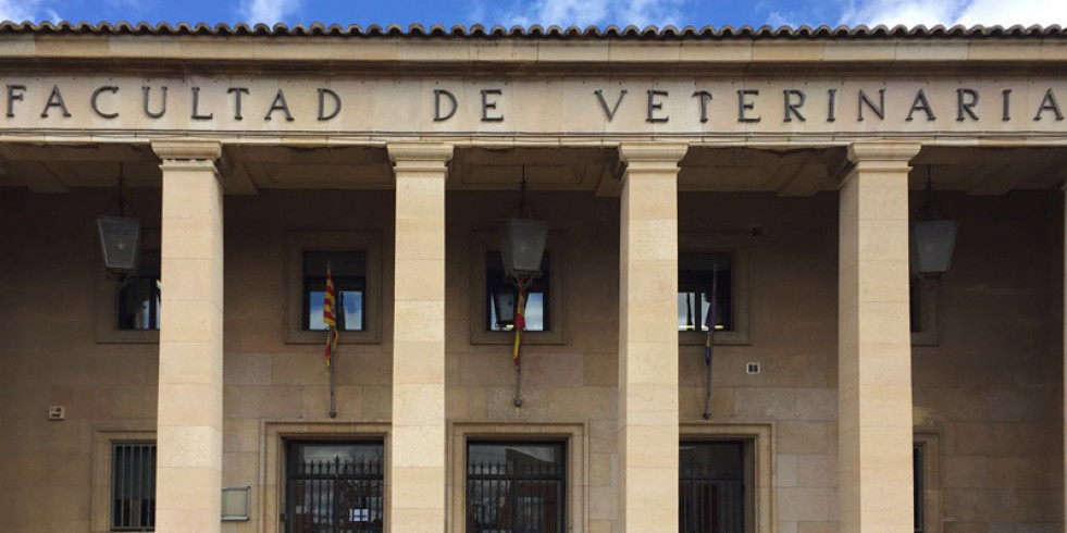 Convocan dos premios sobre investigación veterinaria dotados con 3.500 euros