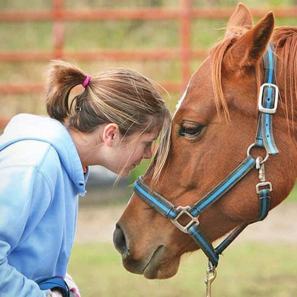 ¿Pueden las actividades con equinos ayudar a los estudiantes de veterinaria a reducir el estrés?