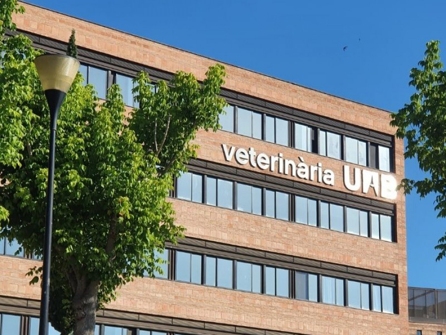 Facultad veterinaria barcelona uab