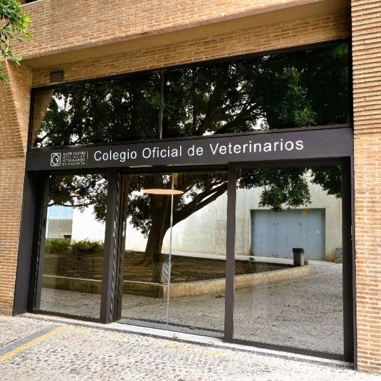Radiografía sector veterinario en Valencia: mujer de 35 a 50 años que ejerce veterinaria de pequeños animales