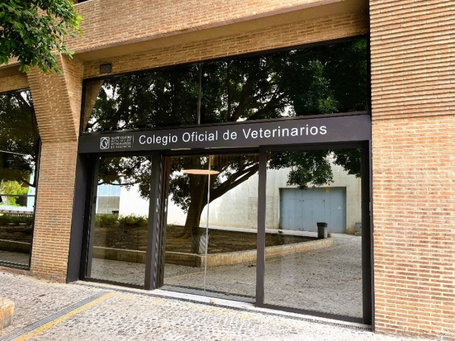 Colegio de veterinarios valencia