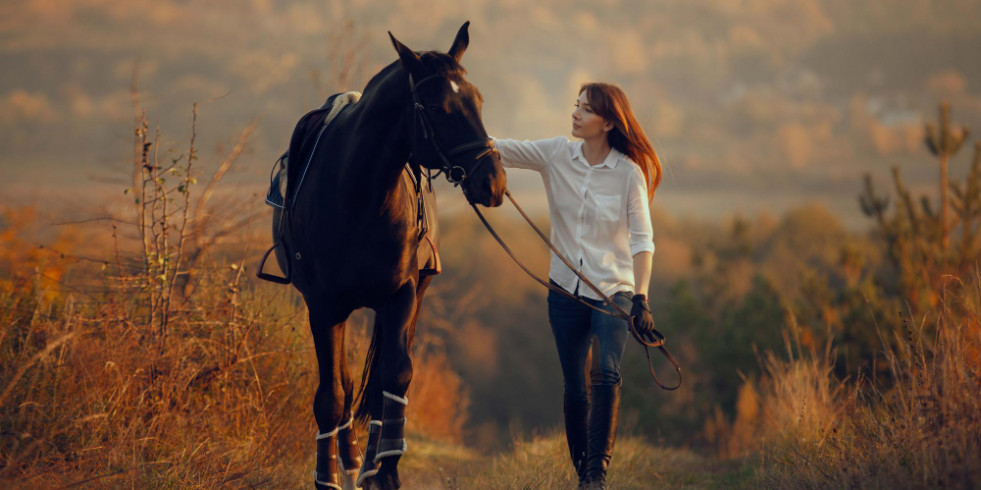 La investigación sobre la salud de los caballos también ayudará a mejorar la salud humana