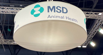 MSD Animal Health mostrará en el World Buiatrics Congress sus innovaciones en la salud de los rumiantes