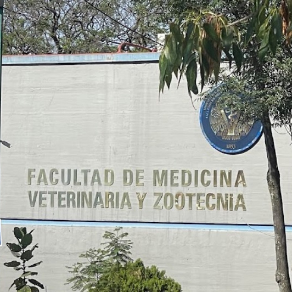 La Facultad de Medicina Veterinaria y Zootecnia de la UNAM, entre las 100 mejores del mundo