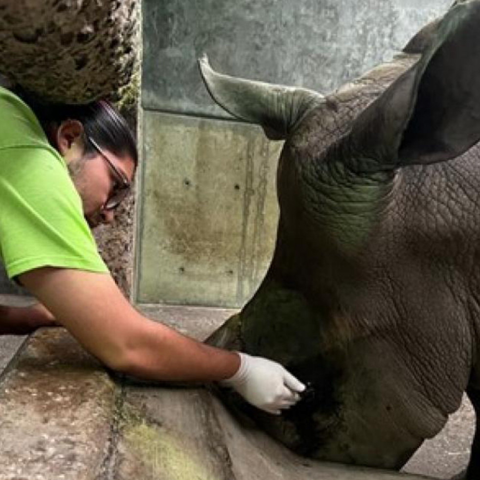 Un estudiante de Veterinaria cuenta su experiencia en el zoológico de Guadalajara