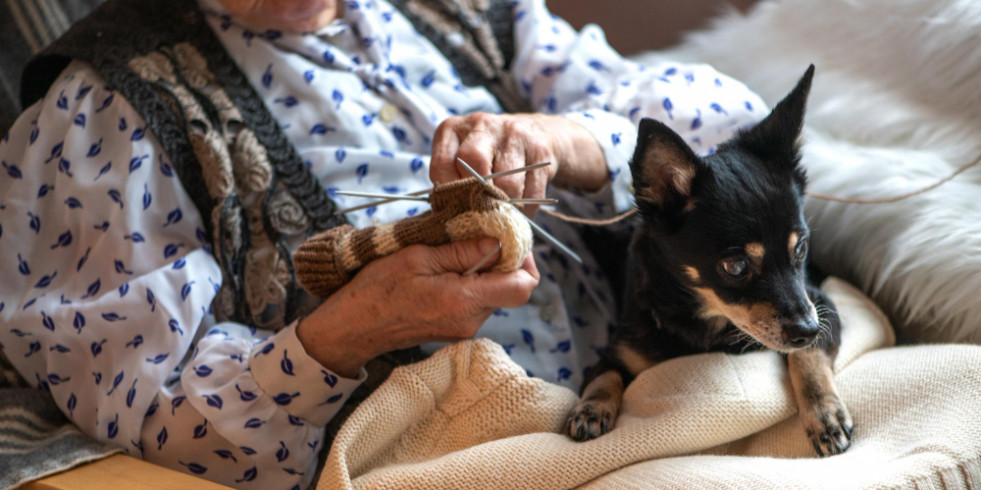 Las terapias con animales ayudan a reducir la medicación a los mayores con depresión involutiva