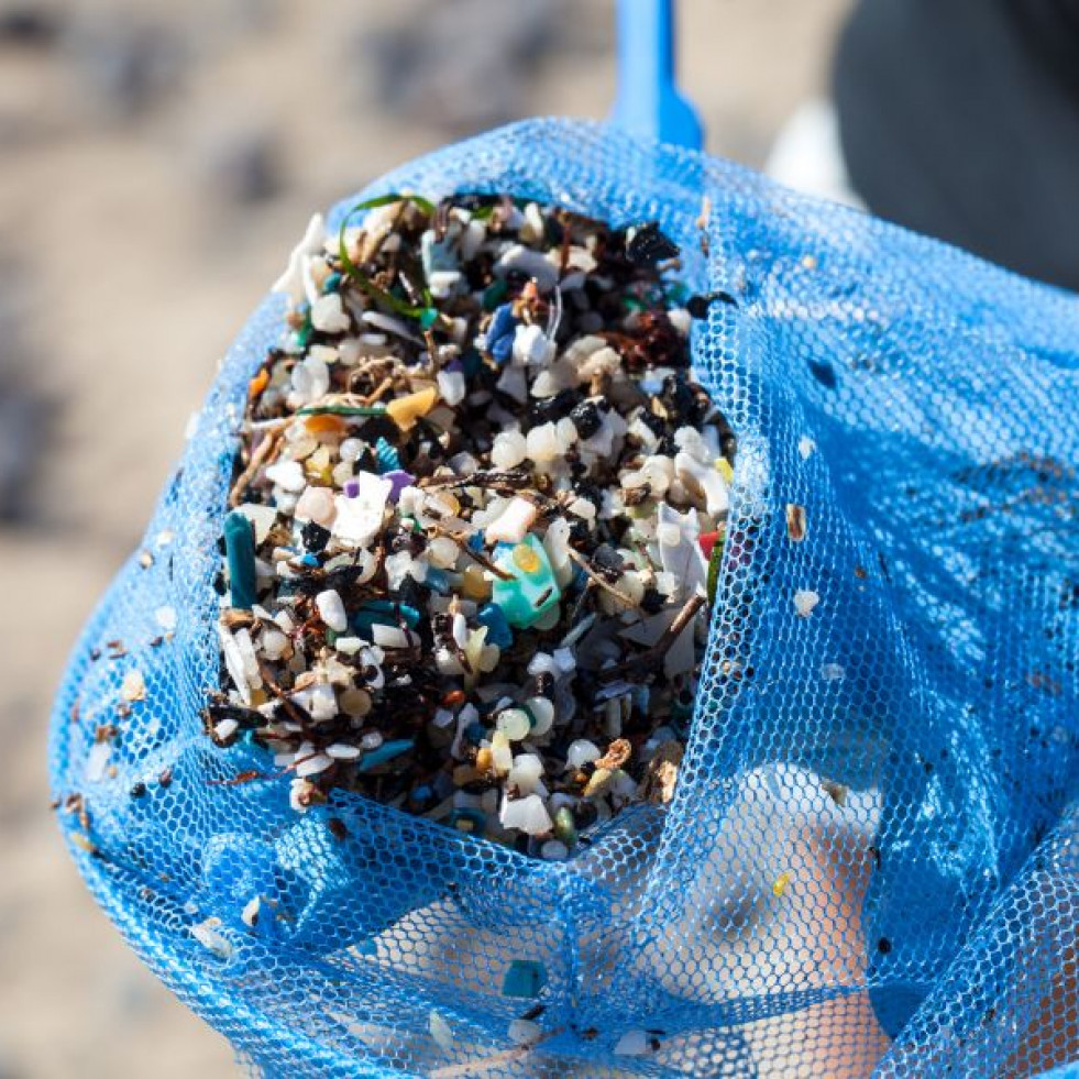 Alertan de que en un año los pellets plásticos pueden llegar a Canarias y atentar contra la fauna marina