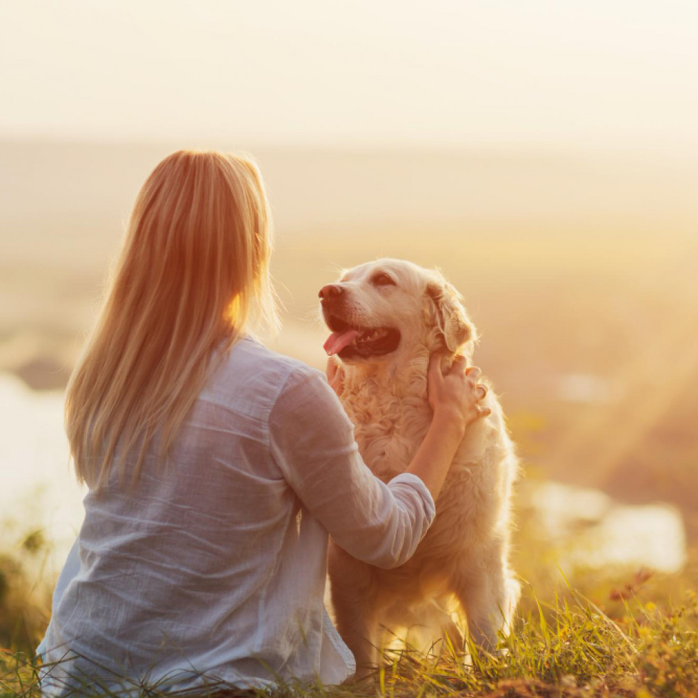 Las terapias asistidas con perros reducen un 60 % la medicación de los pacientes con depresión