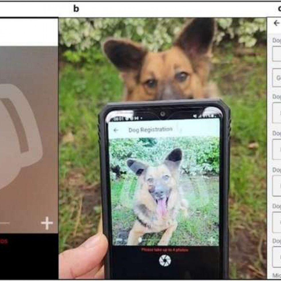 Una aplicación de reconocimiento facial para perros podría facilitar la lucha contra la rabia