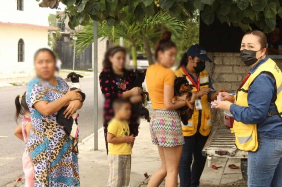 Vacunación contra la rabia Colima