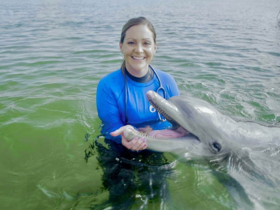 Barb Linnehan examina un delfín. Foto: U.S.Navy