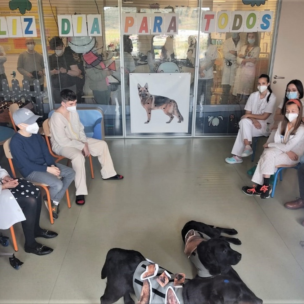 El Hospital Universitario de Burgos incorpora en pediatría una terapia pionera con perros
