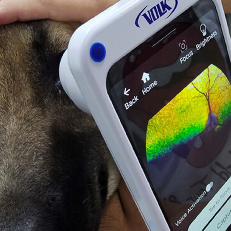 Investigan el uso de la tecnología basada en smartphones para la oftalmoscopia en medicina veterinaria