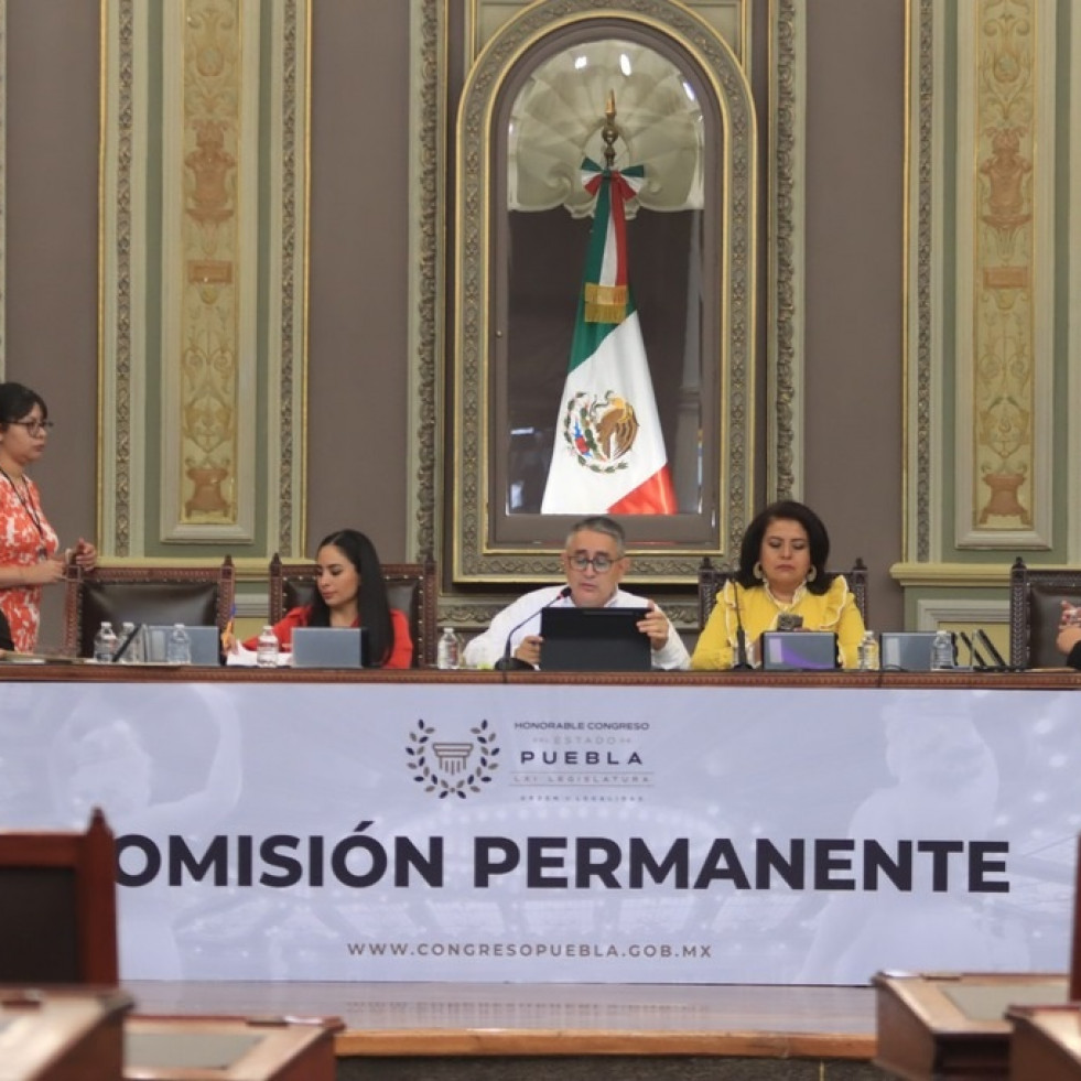 Puebla quiere que dueños de mascotas las lleven cada año a evaluar su estado de salud ante las autoridades