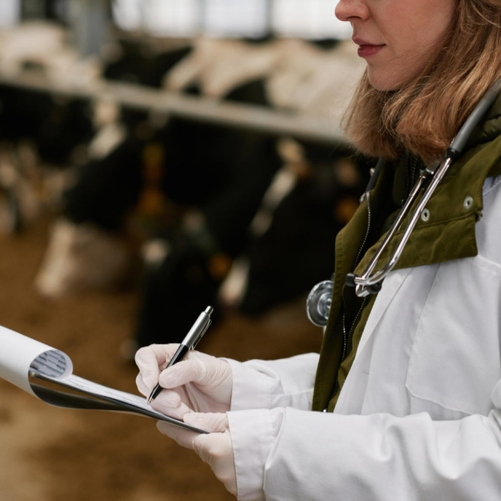“La propagación de influenza aviar indica transmisión entre bovinos, probablemente por medios mecánicos”