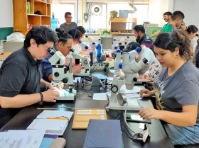 Realiza la Facultad de Veterinaria de la UNAM la primera Reunión de Acarología Mexicana