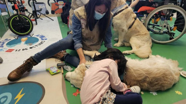 El Hospital 12 de Octubre extiende las intervenciones asistidas con perros a niños con tumores cerebrales