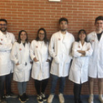 Grupo MeatMed