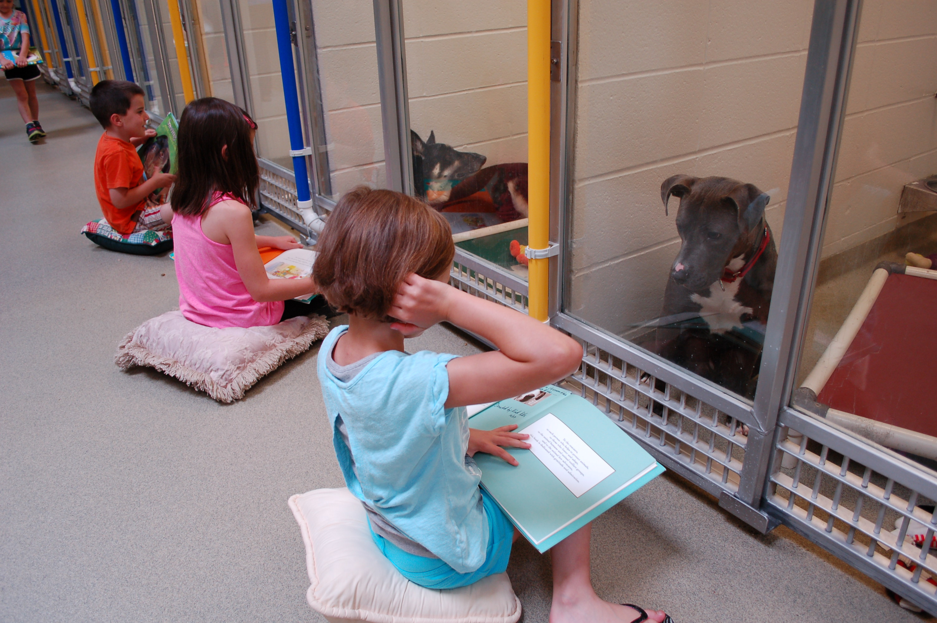 Дети читают собаке. Дети в приюте для животных. Ребенок и животное приют. Приют для детей. Дети помогают приюту для животных.