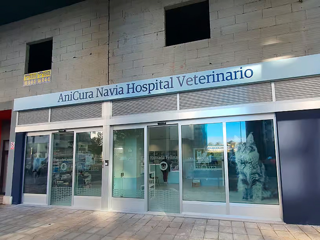 AniCura Navia Veterinary Hospital, at the forefront of veterinary medicine in Vigo