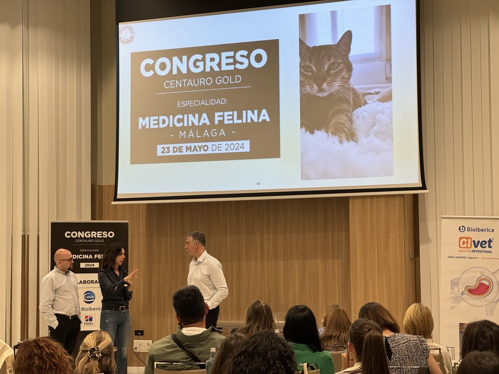 Centauro Feline Medicine Congress: Seville Registration Now Open