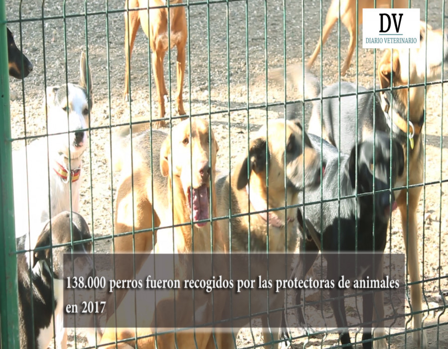 Secuencia 01.Imagen fija001