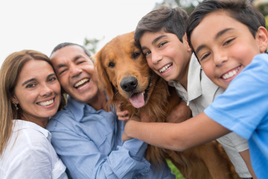 Homepage family dog