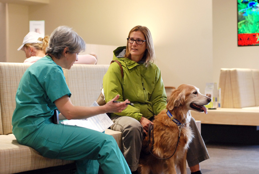 Sala de espera veterinario perro