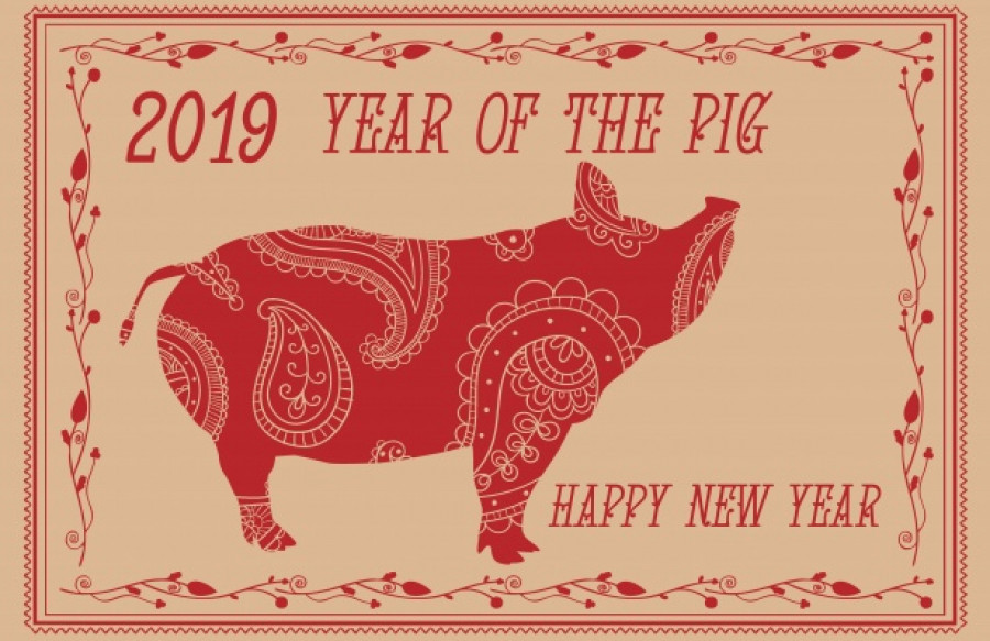 Year of the pig 2019 1534658056LpY