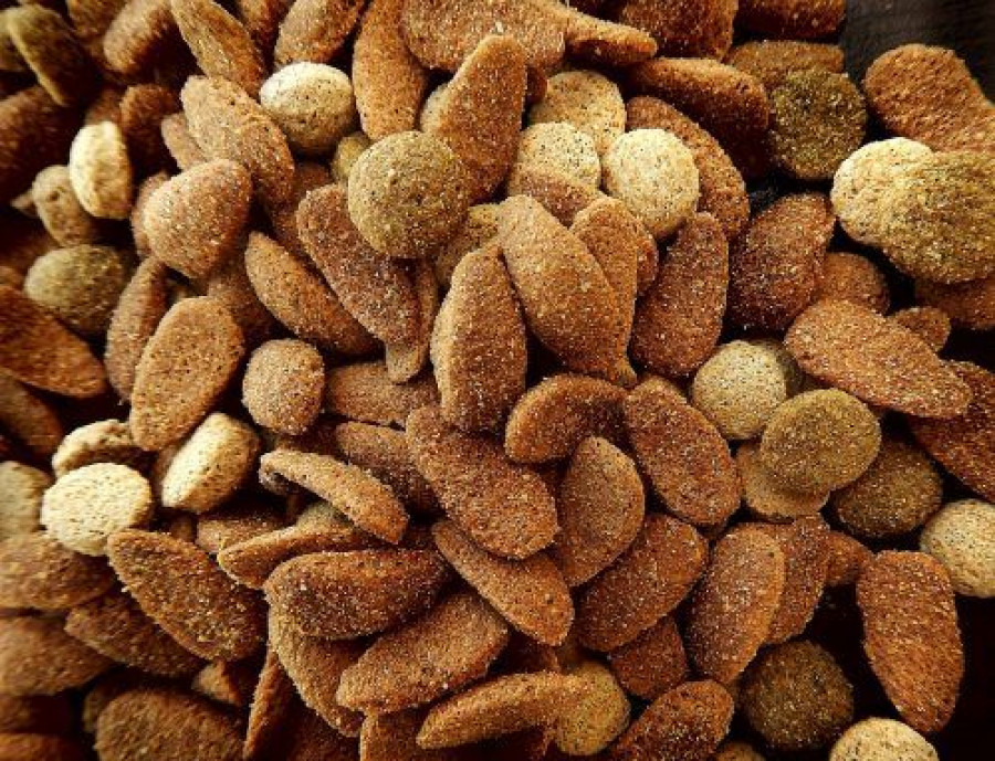 comida para perros petfood
