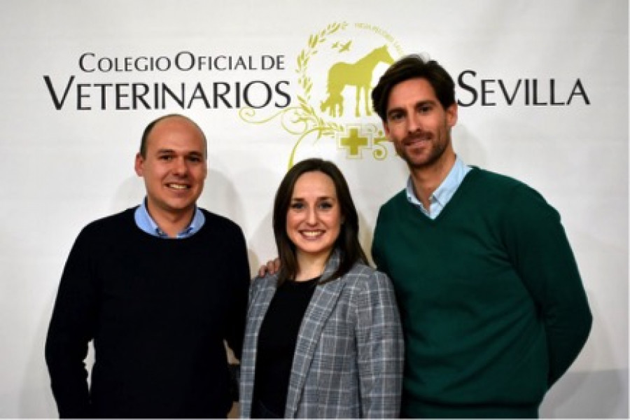 Foto charla Sevilla