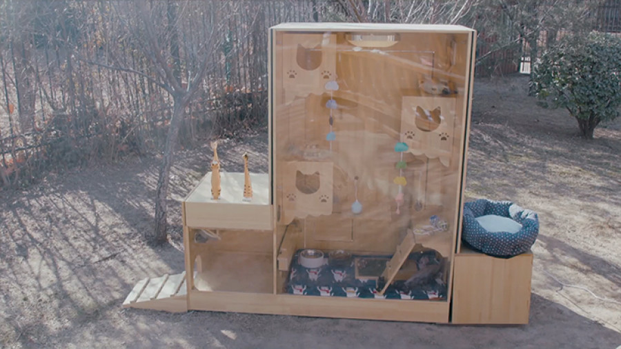 Beijing engineer makes ai cats shelter wan xi 1 5c5957a1aa778  700
