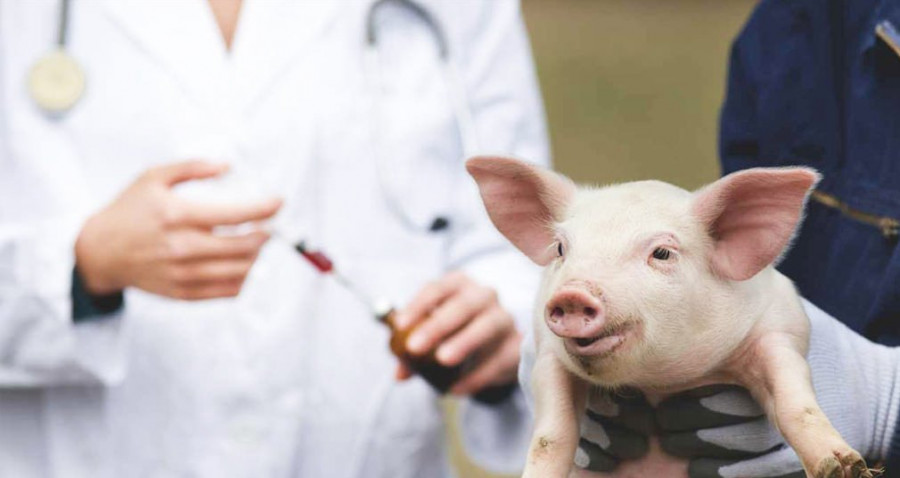 Antibióticos