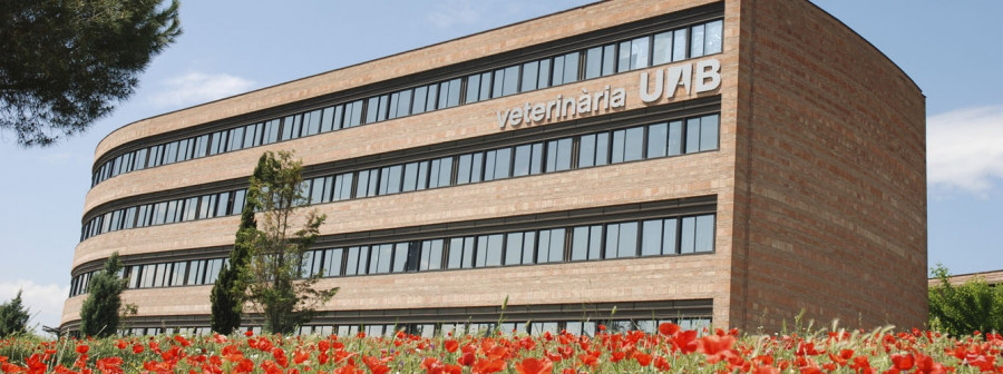 Facultad veterinaria universidad de barcelonamesa de trabajo 11