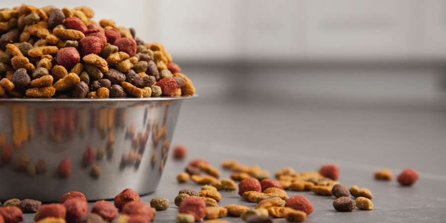 Reviews of Top 5 Dog food with Glucosamine and Chondroitin