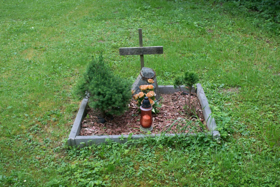 File 20190318 28496 1etnalp