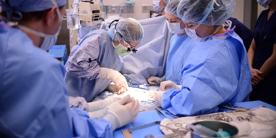 Surgery header