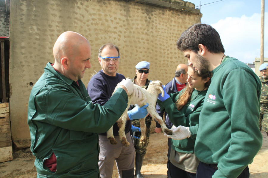 160301 delegacion de veterinarios libano 04