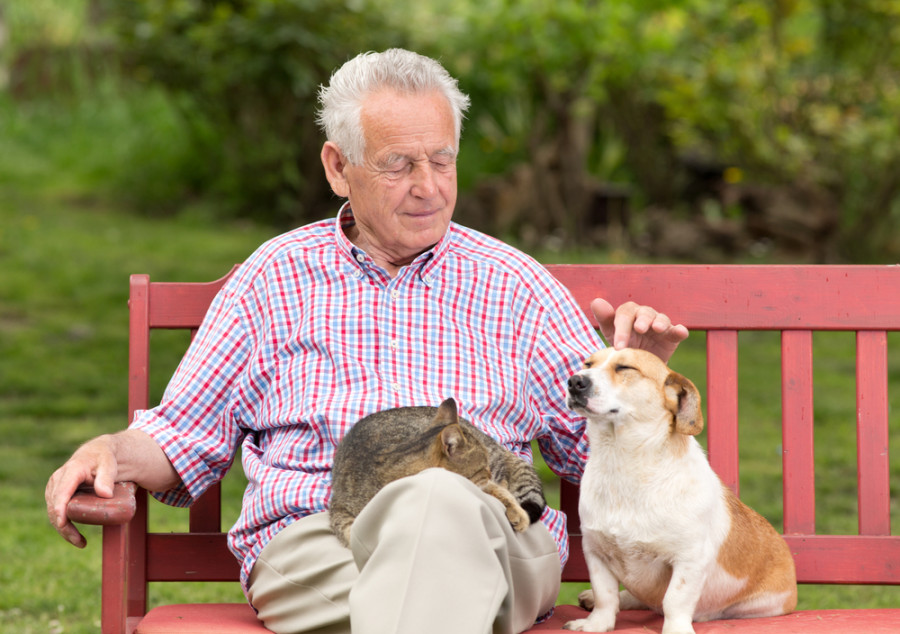 Man dog cat