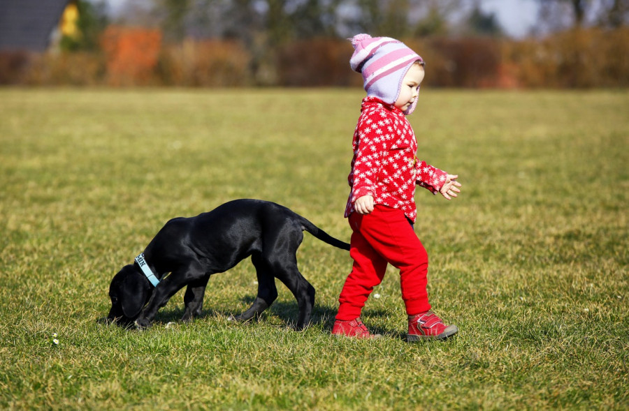 Child 1180772 1280