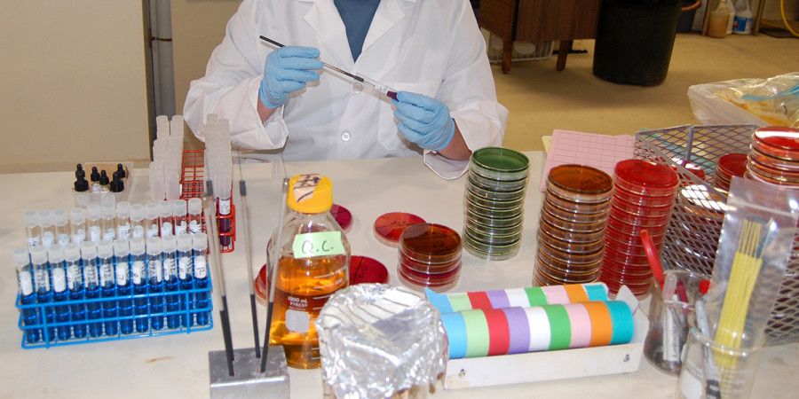 Nbc diagnostic labs