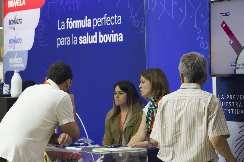 Congreso Internacional Anembe Medicina Bovina