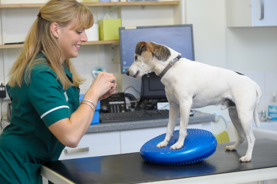 Physio 1